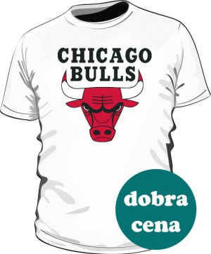 Koszulka Chicago Bulls