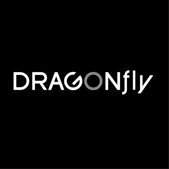 dragonfly design t-shirt