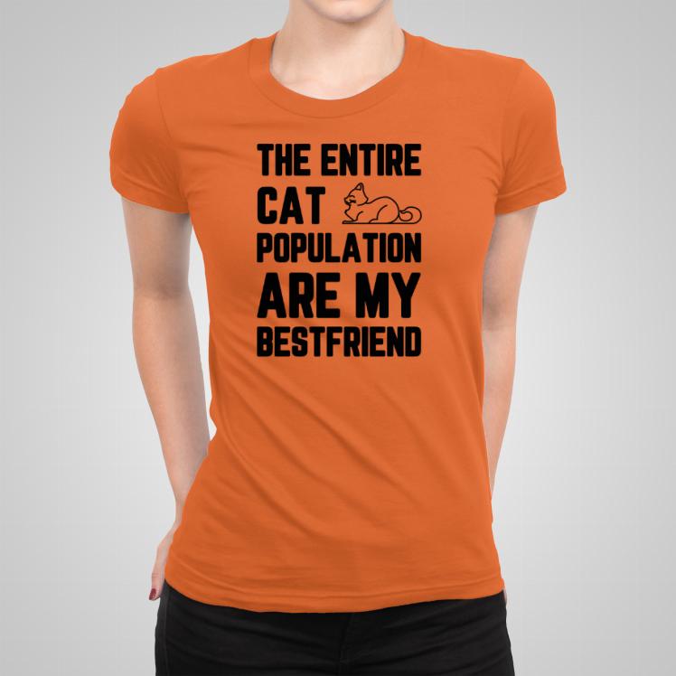Koty przyjaciele koszulka damska kolor pomarańczowy